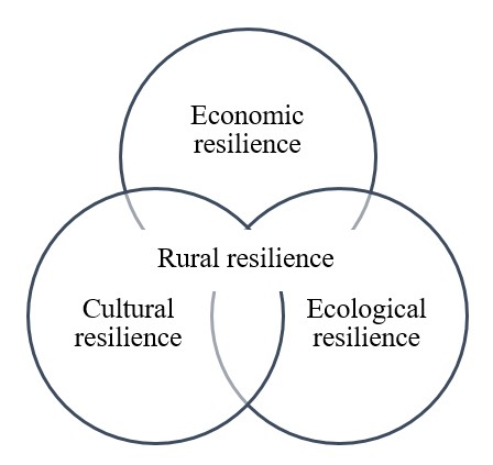 Figure 2. Diagram explaining the components of rural resilience.