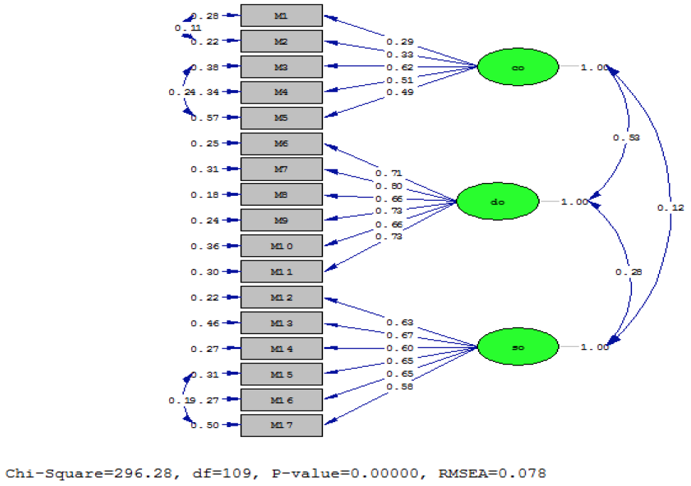 Figure 1. First-level confirmatory factor analysis diagram of the Social Identity Scale.