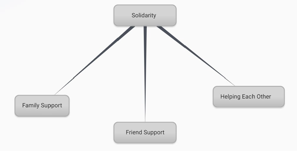 Figure 2. The theme and subthemes of solidarity.