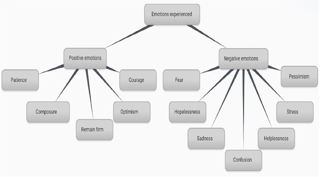 Figure 4. The theme and subthemes of experienced emotions.